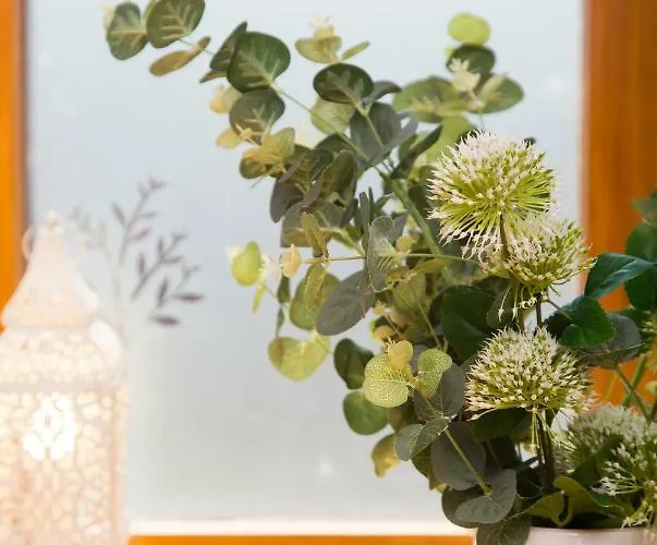 The Nook Dom wakacyjny *