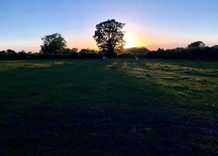 Dom wakacyjny The Nook